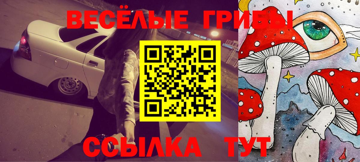 Галлюциногенные грибы Cubensis Шахты
